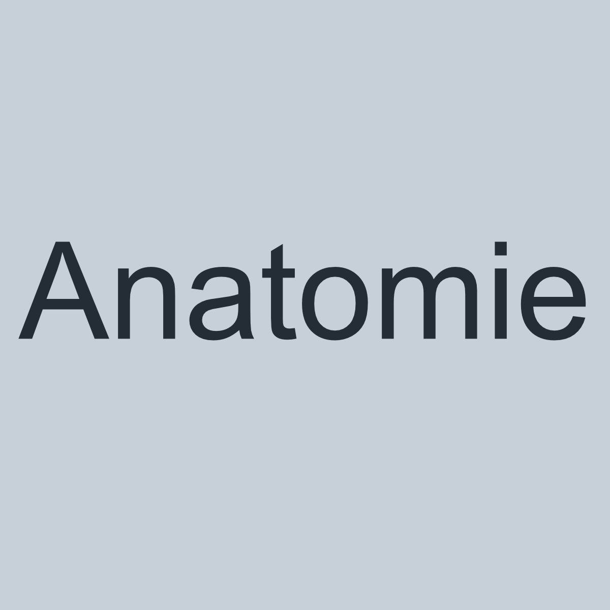 Anatomie