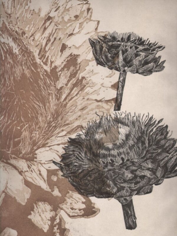 Distel 2013