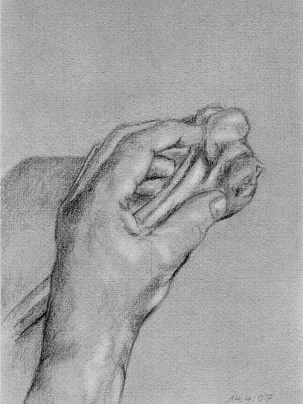 Linke Hand 2007