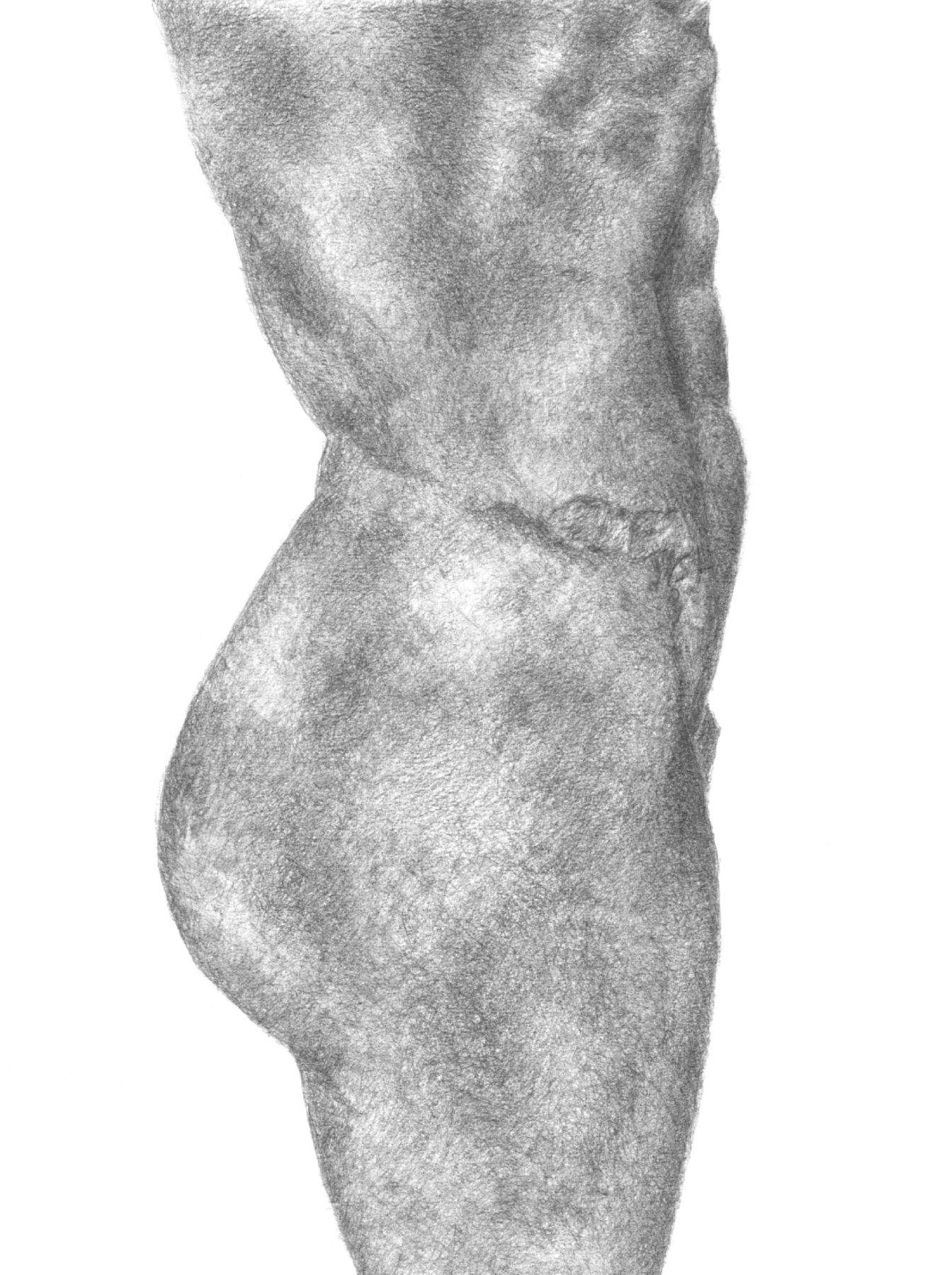Torso LV 2007