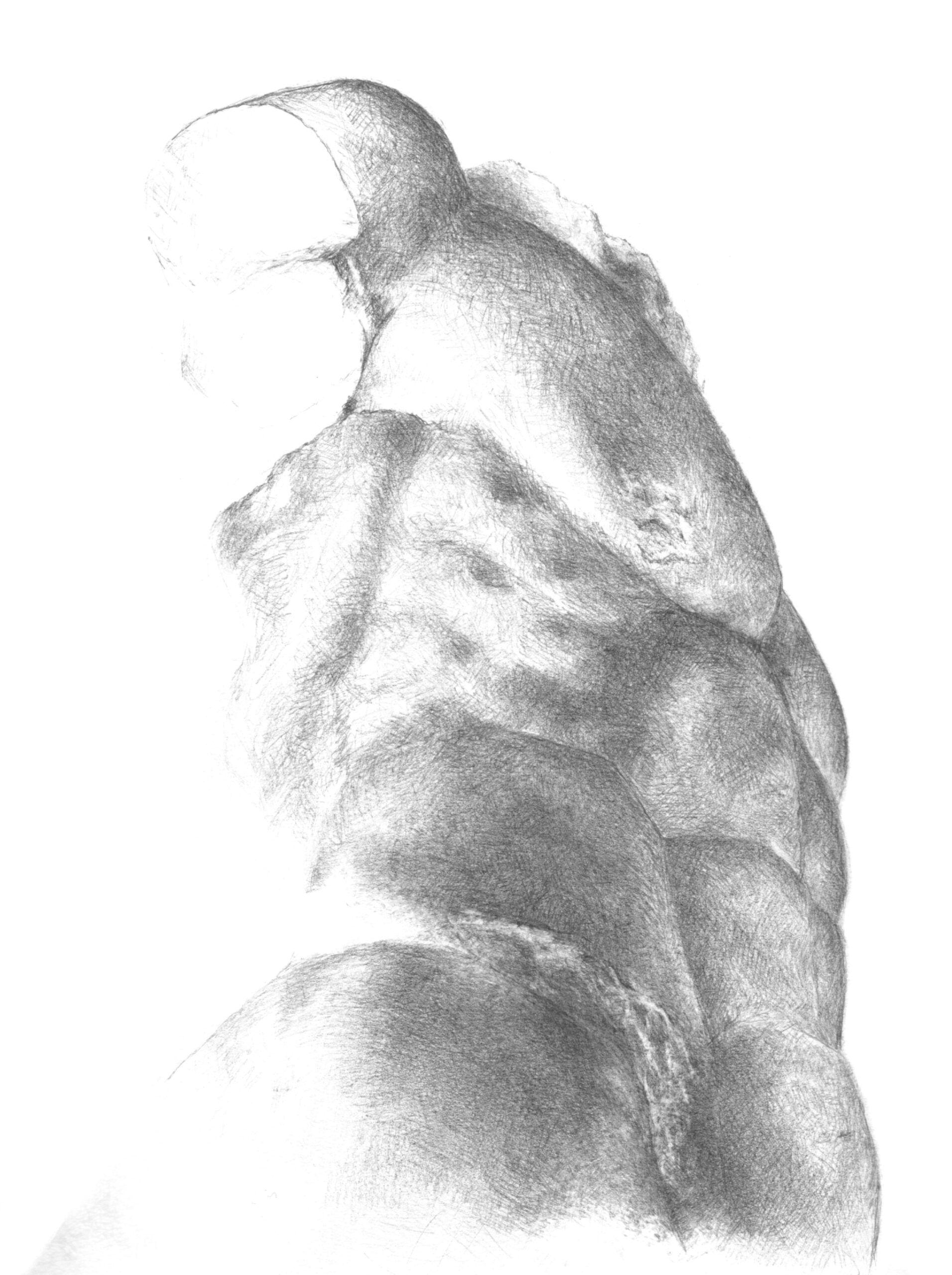 Torso VII 2007