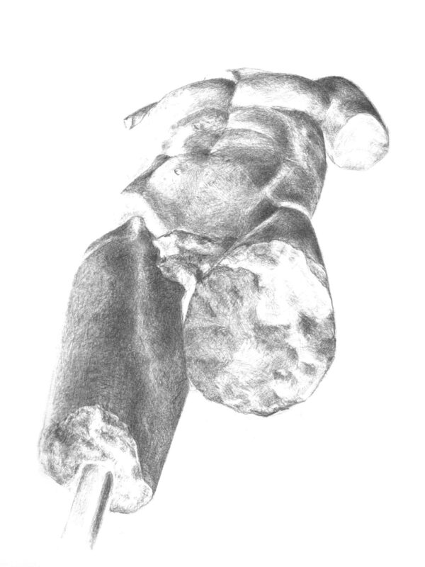 Torso VIII 2007