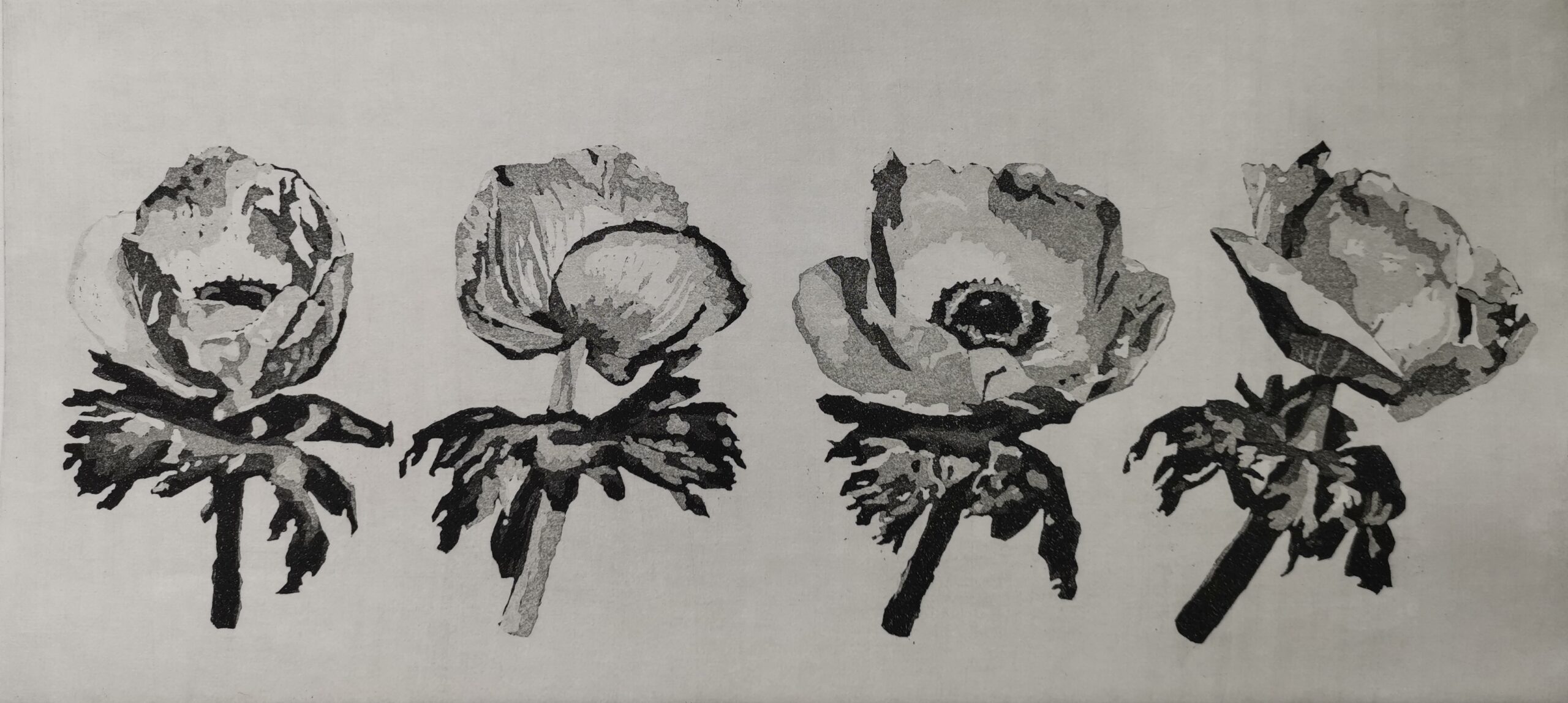 Anemonen 2015