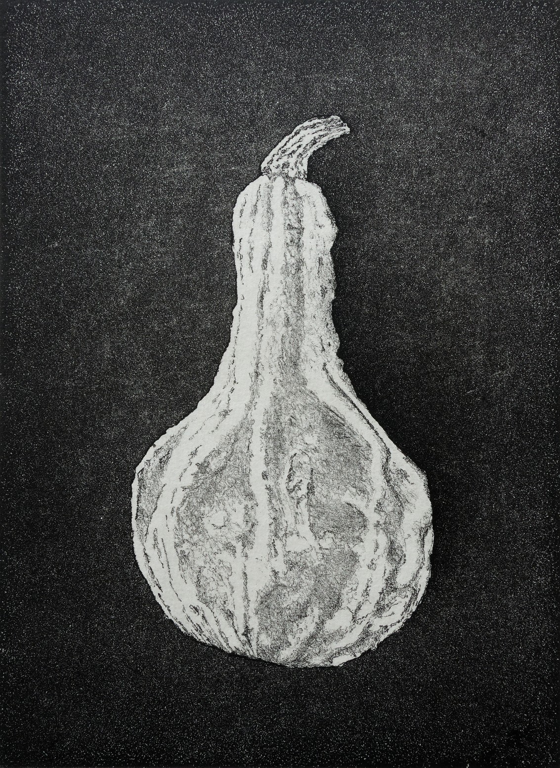 Kürbis IV 2023