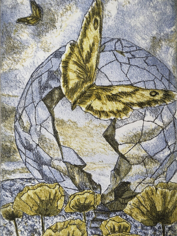 Schmetterlinge mit zerbrochener Kugel 2024